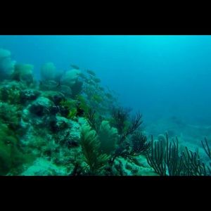 Meet your Posher, Stacie